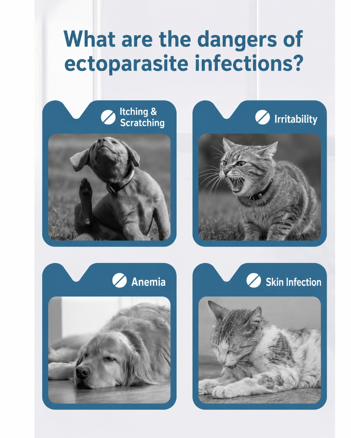 🐕30 Days Flea and Tick Free