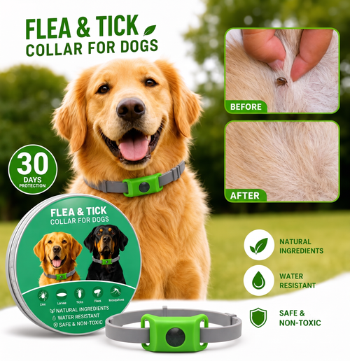 🐕30 Days Flea and Tick Free